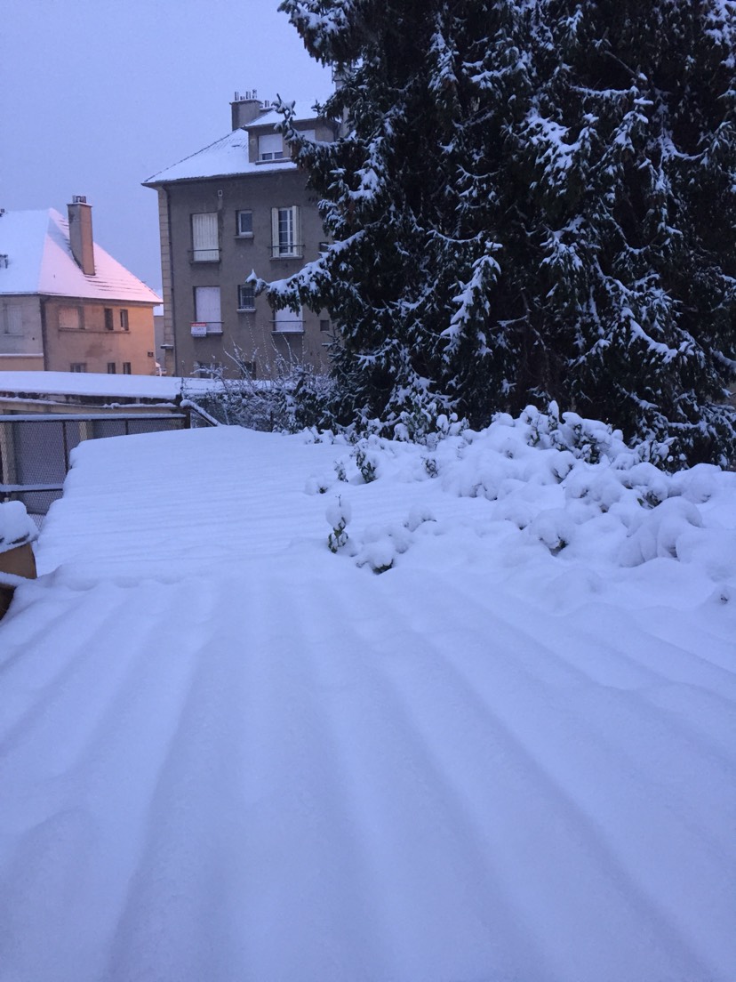 大家晒物品,我来晒雪景!