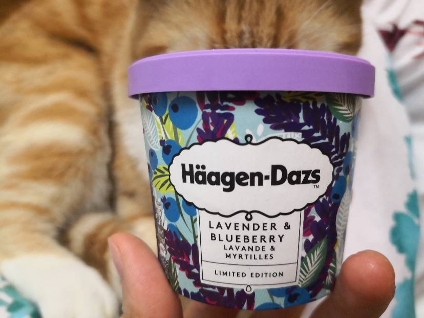 哈根达斯这次限量巨！好！吃！