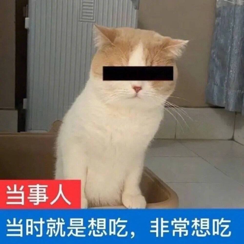 大家买过VP的旅游/酒店产品吗？