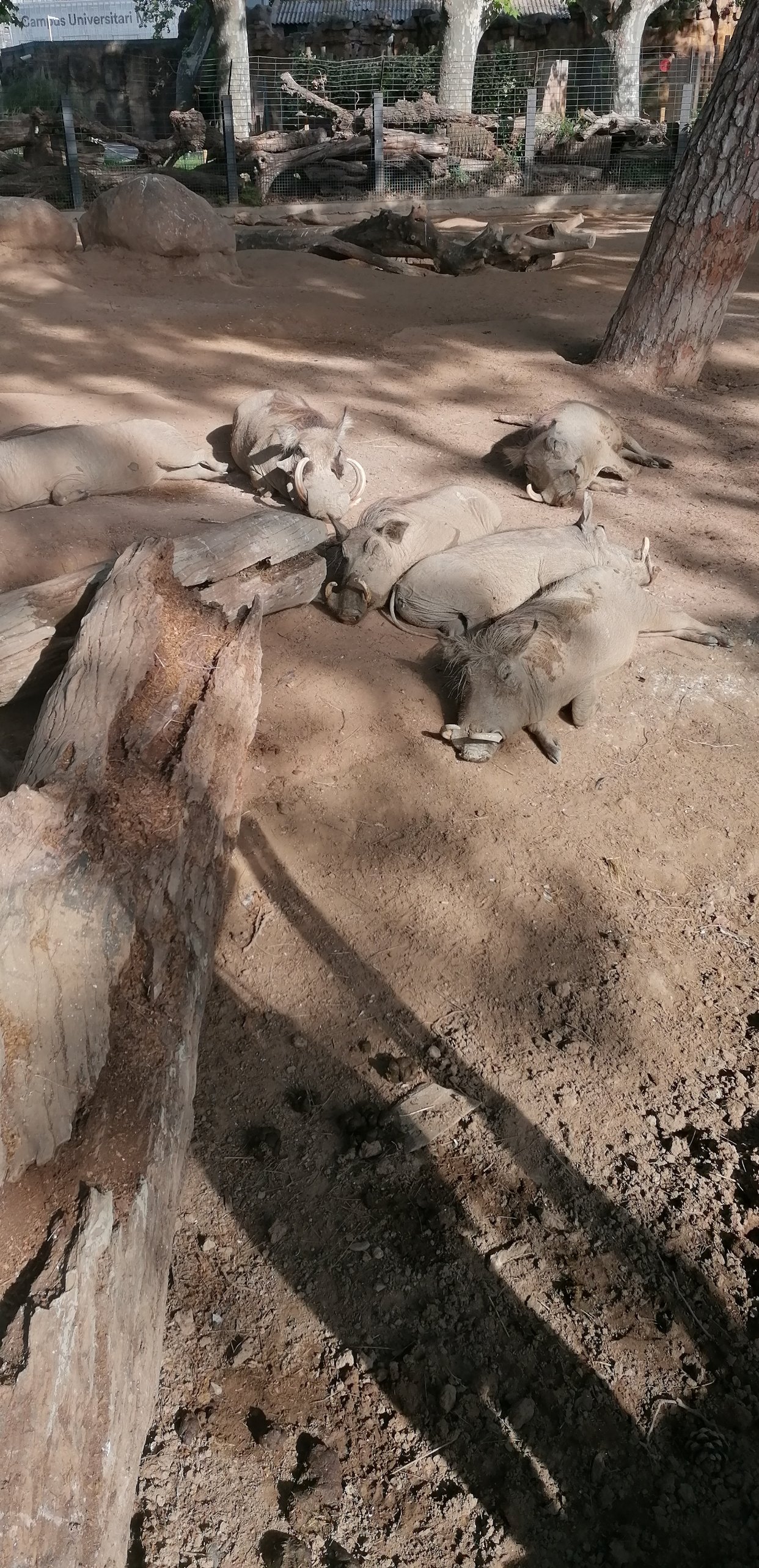 zoo barcelona
