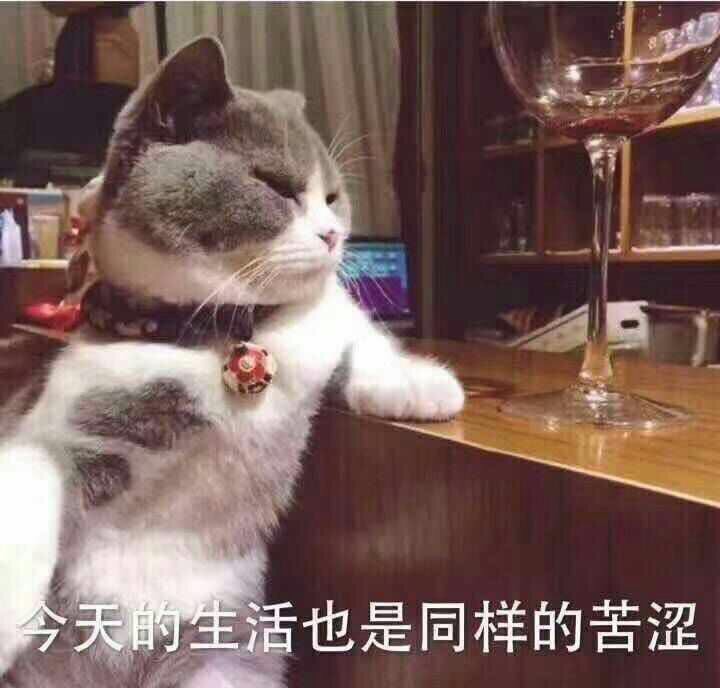 有木有还是打不开微博的小可怜