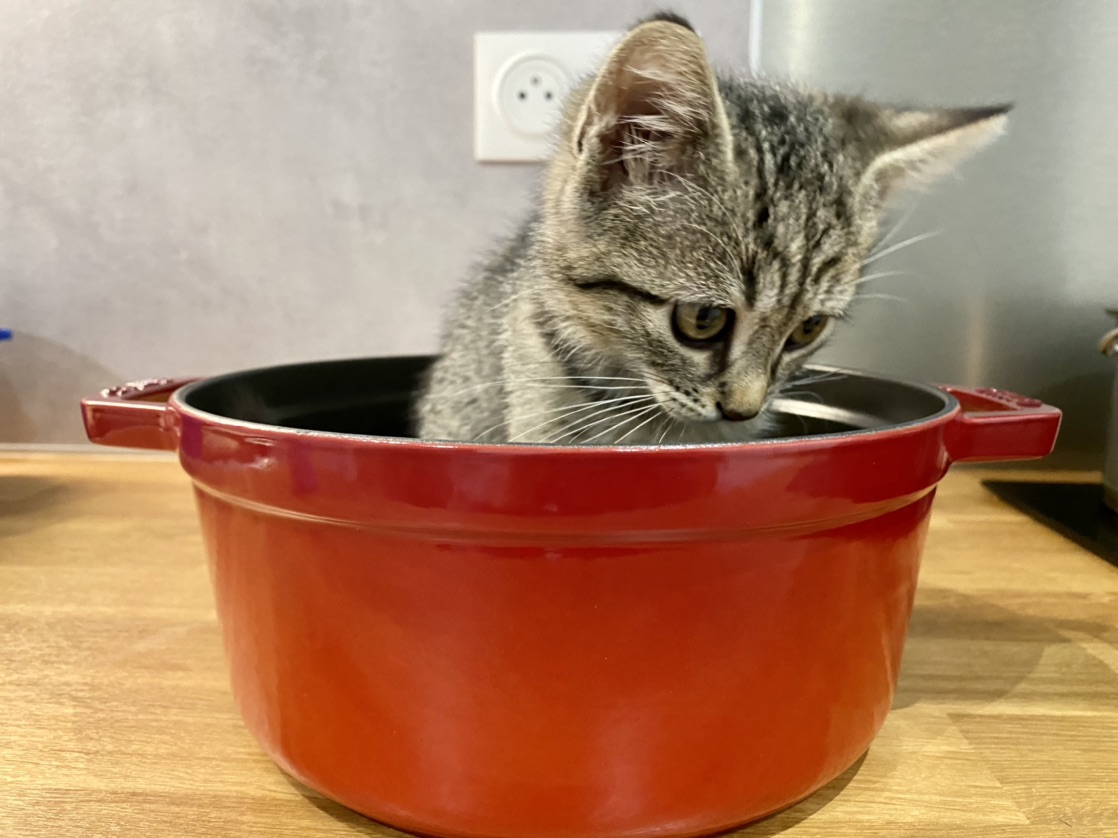 Staub