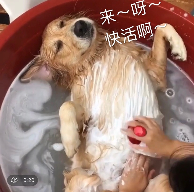 求巴黎卖中式糕点的地方或店铺