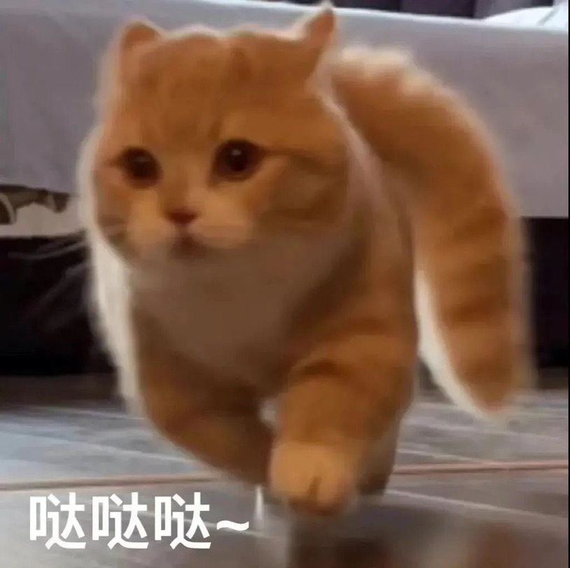 《我的时尚单品》后续