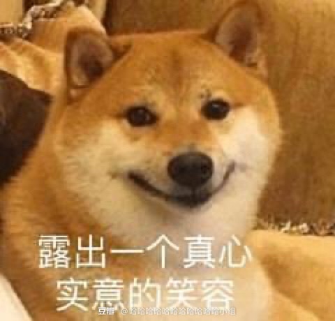 看来今年程序员好好上班了