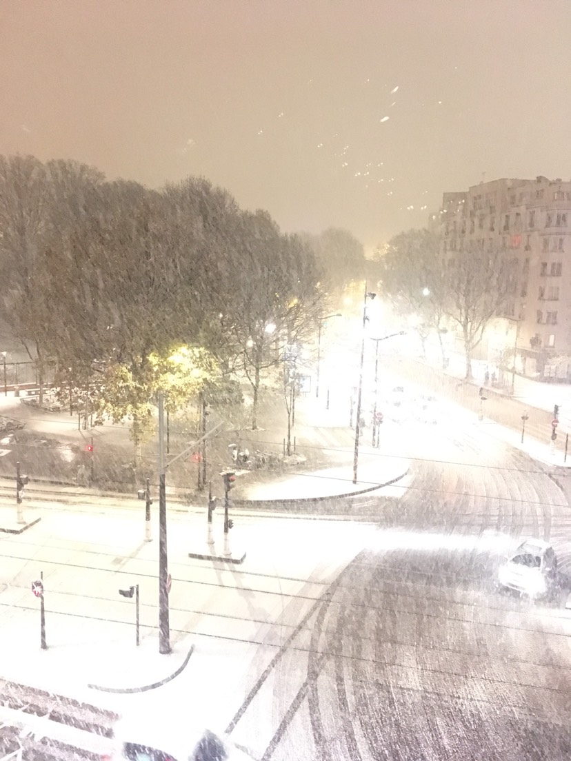 南方人见到雪.jpg