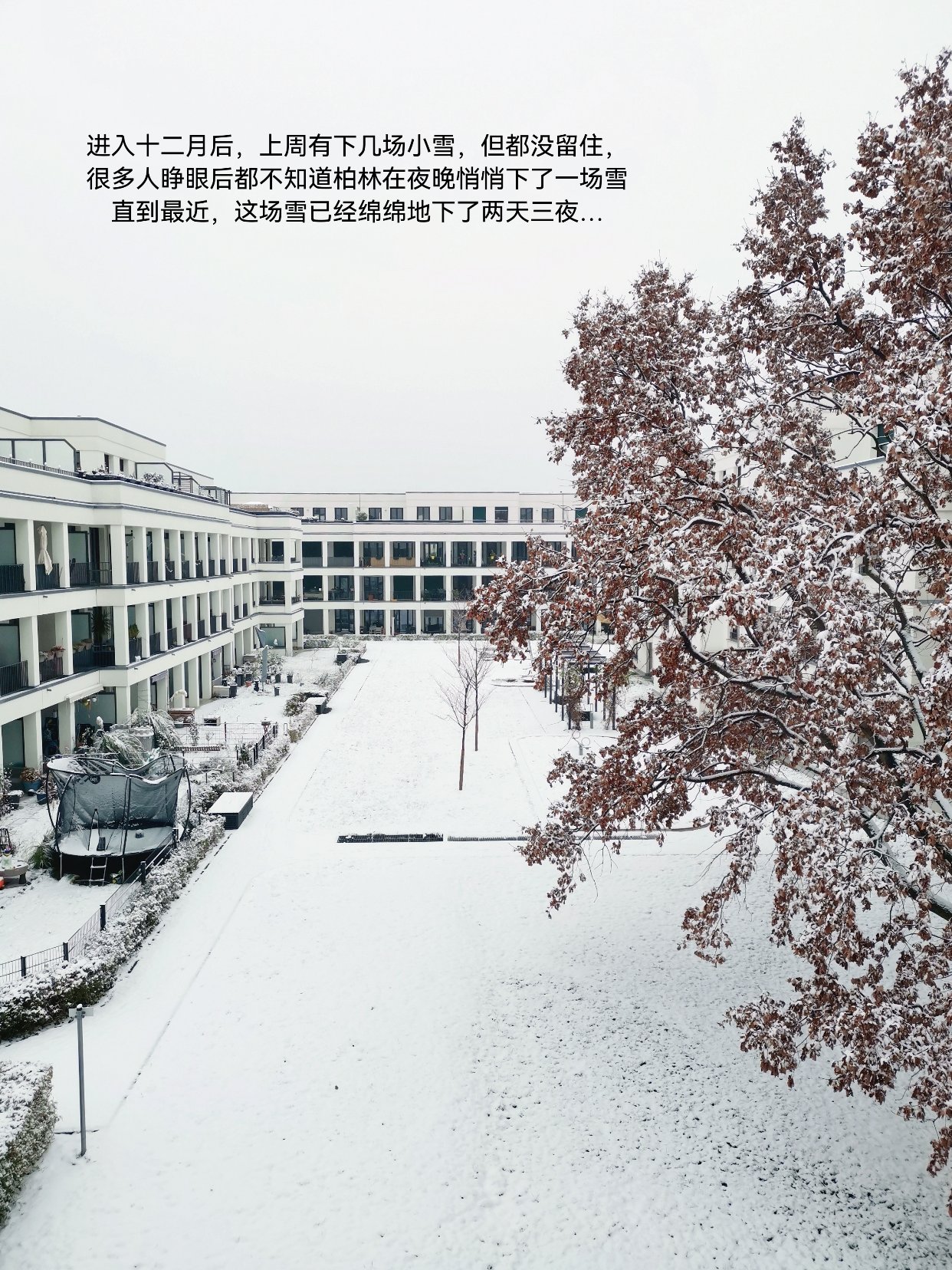 ❄️柏林下雪了，可德国人不打雪仗…❄️