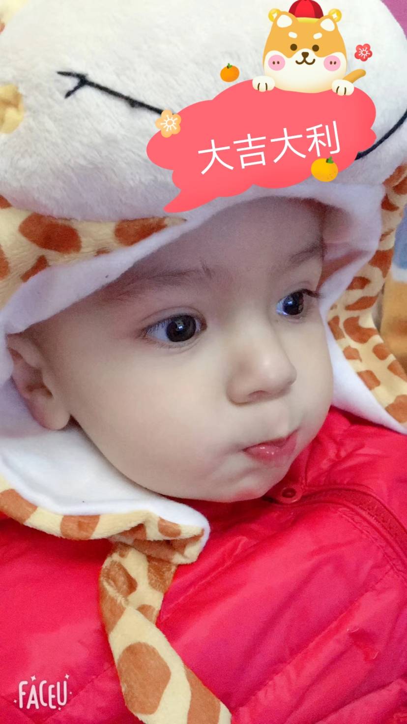 红红火火过新年