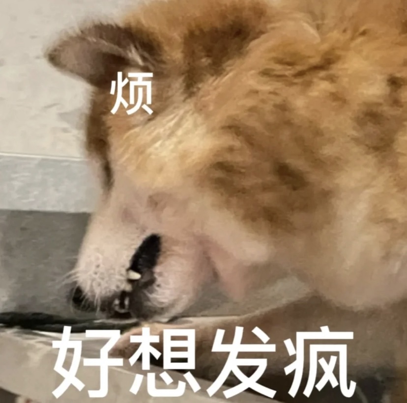 羽绒被？