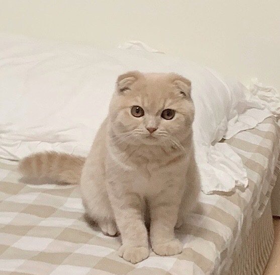 疫情期间眼镜断掉了