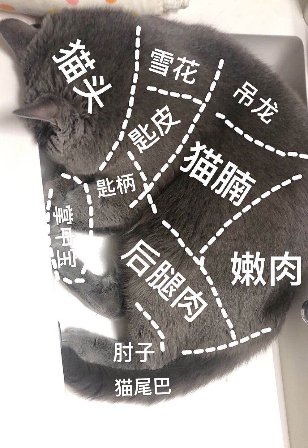 求各位集美推荐和分享一下驾校～