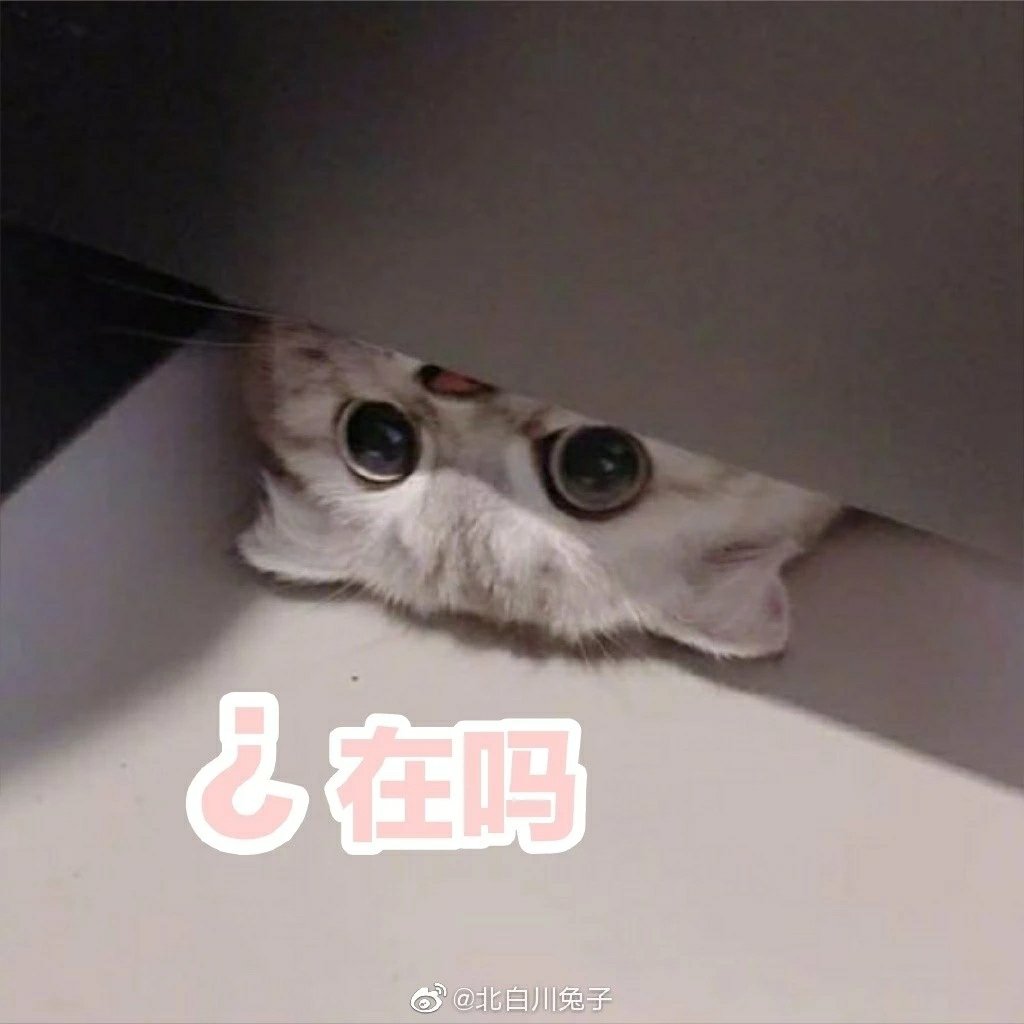 有人在lunette pour tous买过眼镜吗