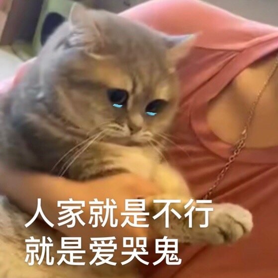 问题大王又来了！回国机票求助！