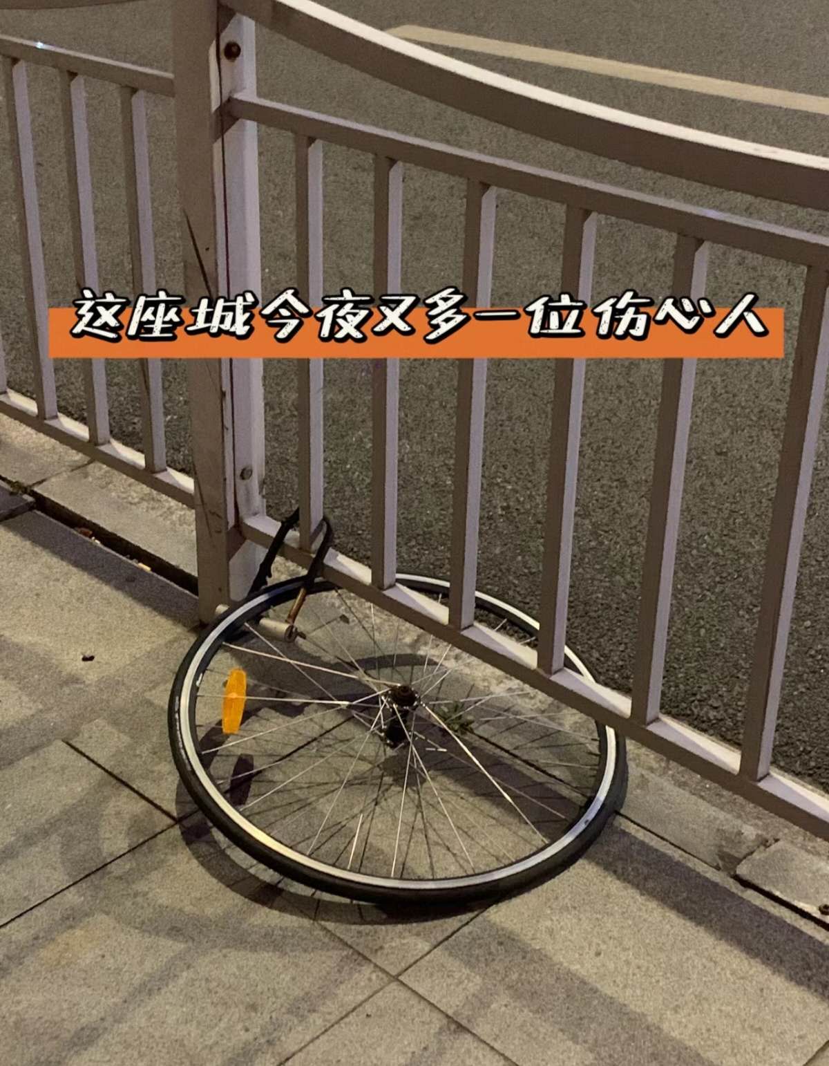 关于在欧洲骑自行车这件事……