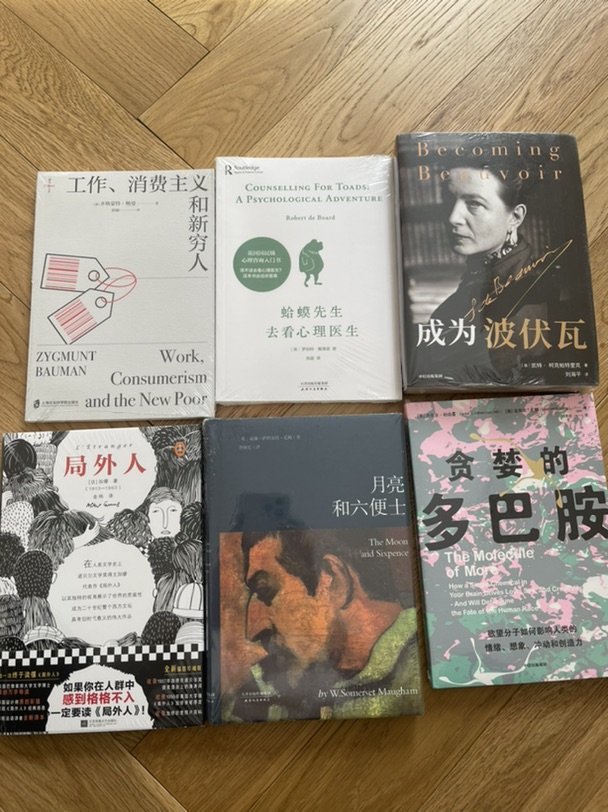 巴黎出中文书籍｜全新带塑封 局外人｜是时候给脑袋充充电了