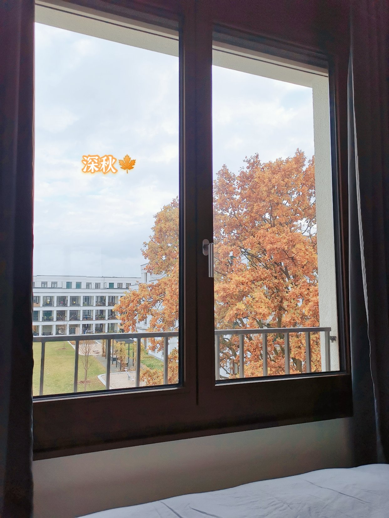 2021年11月1-5日，🇩🇪柏林。