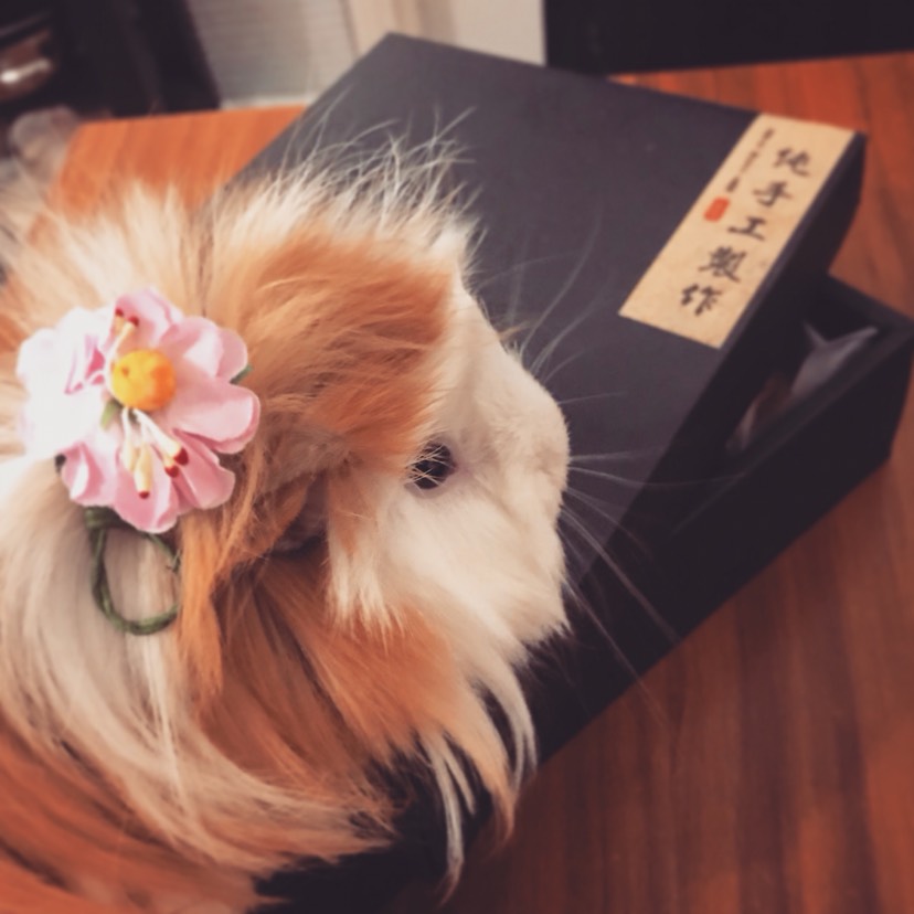 纯手工月饼 