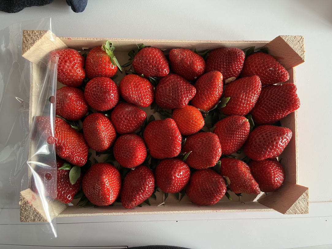 草莓🍓