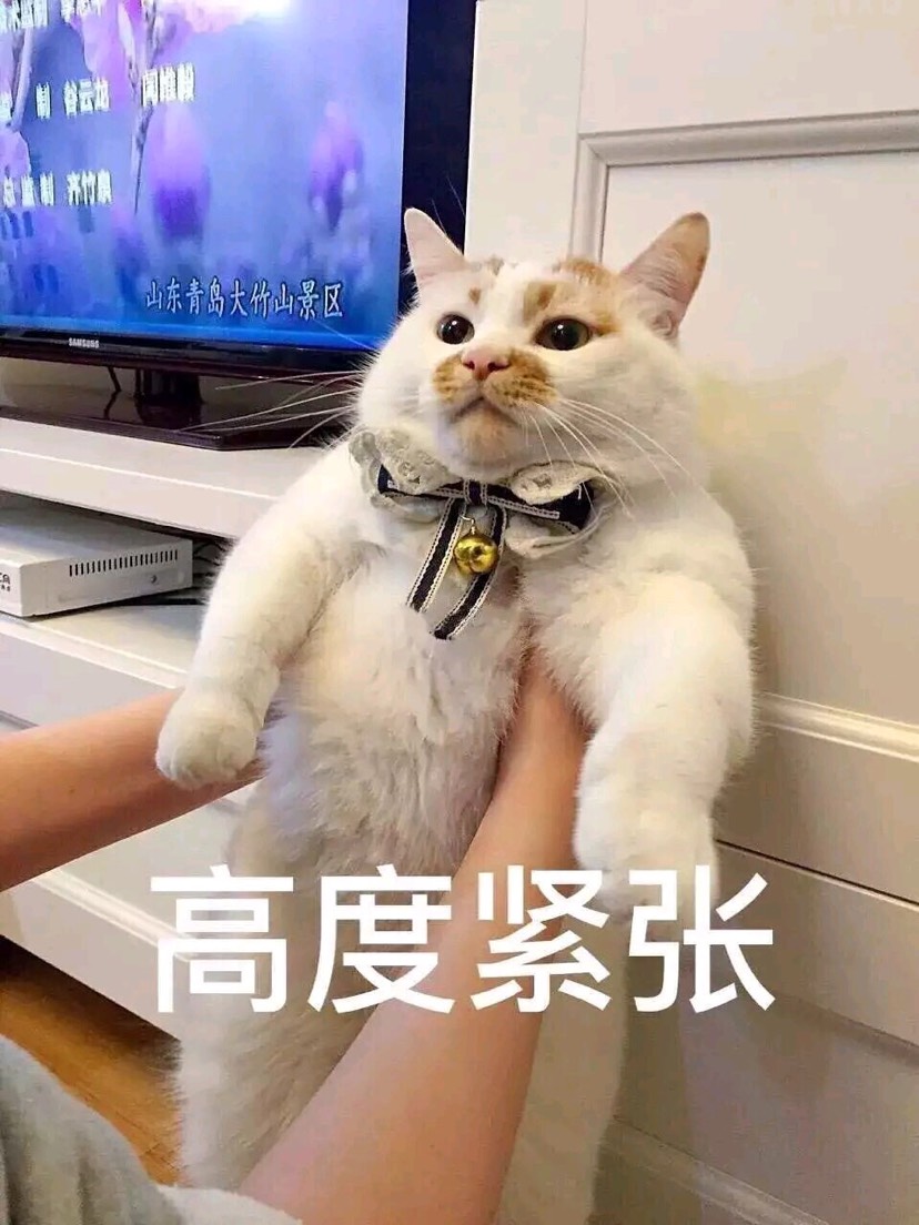 大家知道哪里可以测体脂吗或者有比较准确的体脂称推荐吗