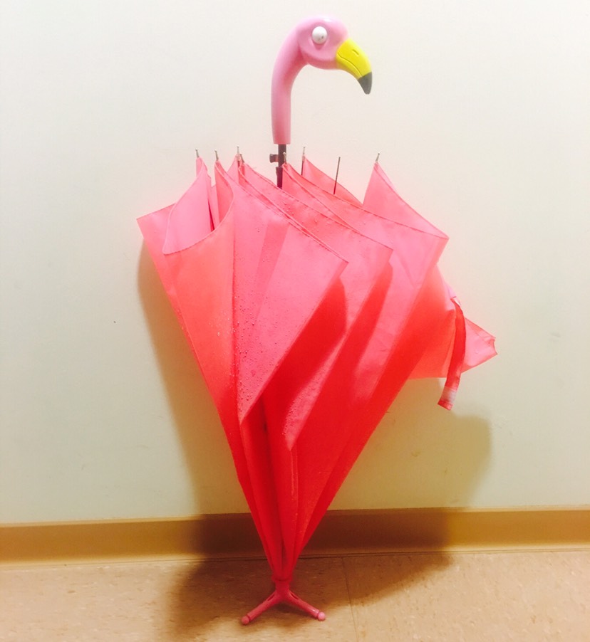 火……火烈鸟？