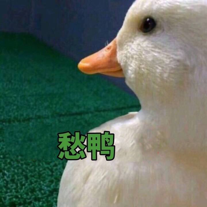 想问问大家一年护肤品花多少钱