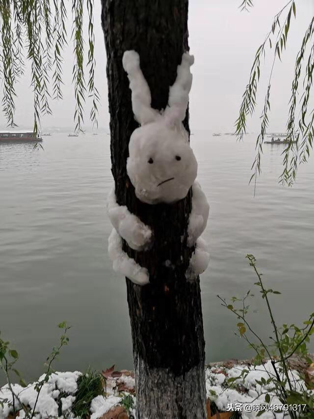 94省续长居