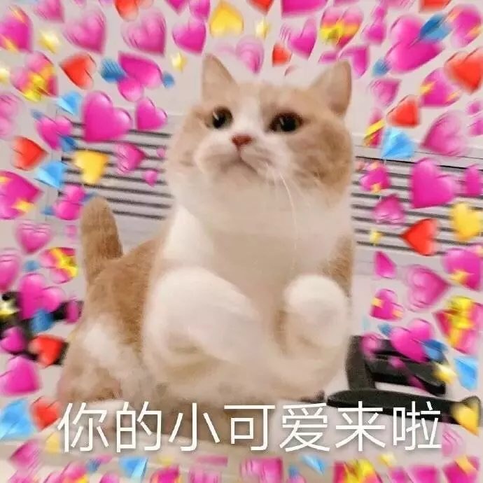 回国 出口罩/连花清瘟/阿莫西林 