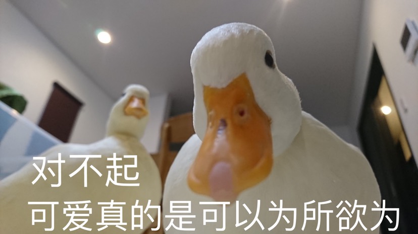 图文无关