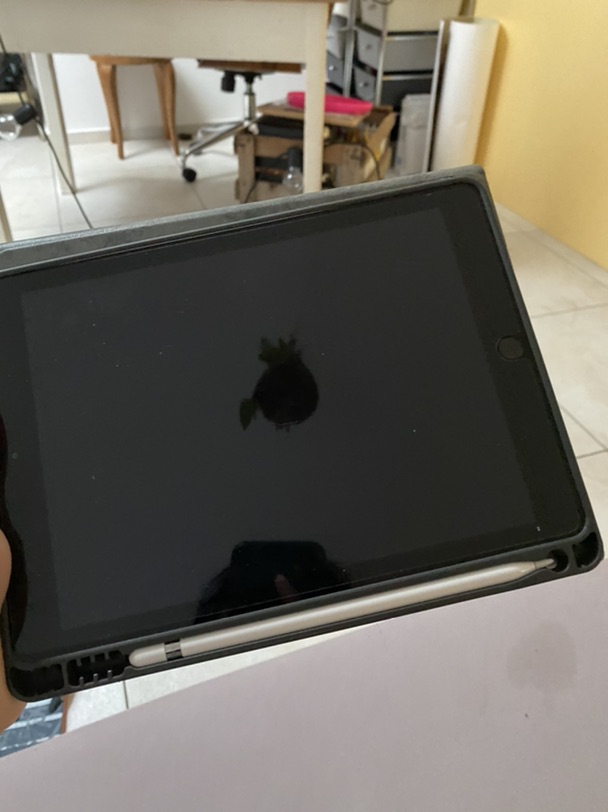 Ipad 第六代 9.7英寸 pencil 一代