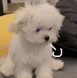 急!!谁看见我准考证了!!