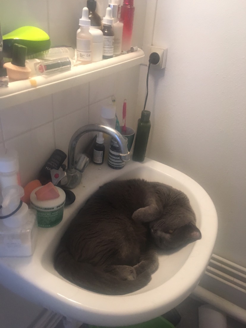 啥？你说这不是我的床？