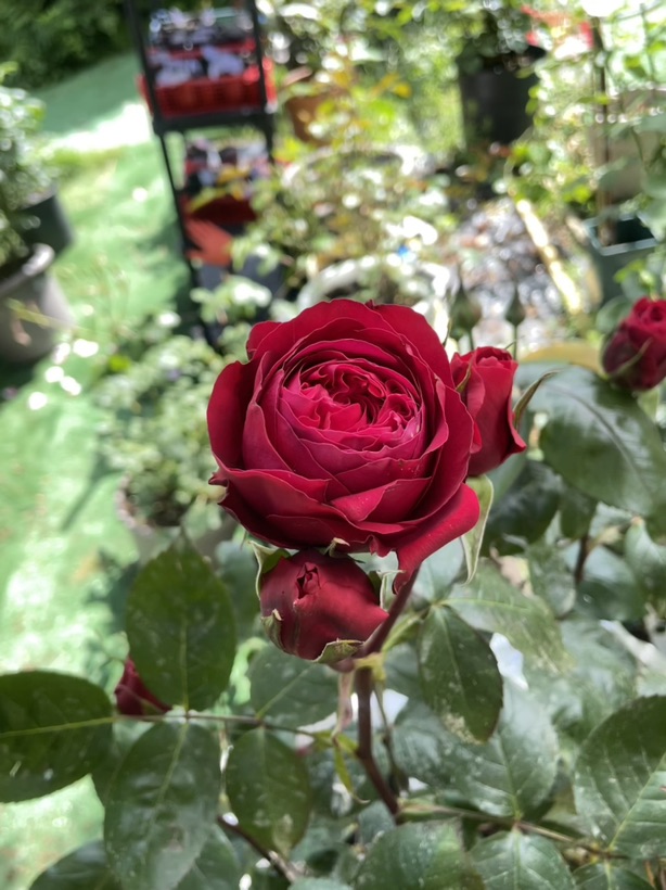 😍快开，多开，爱看