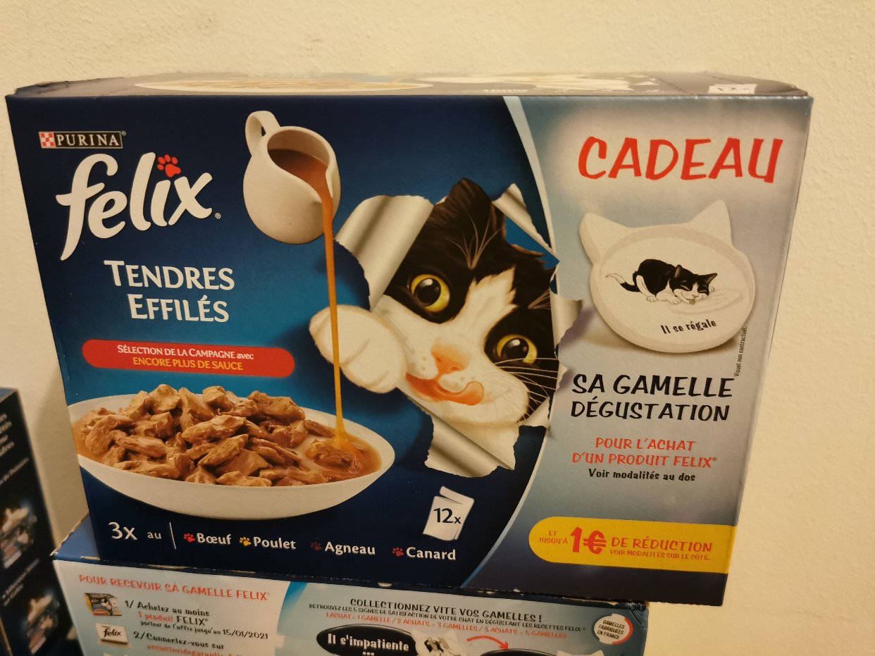 猫儿子的最爱 Felix encore plus de sa