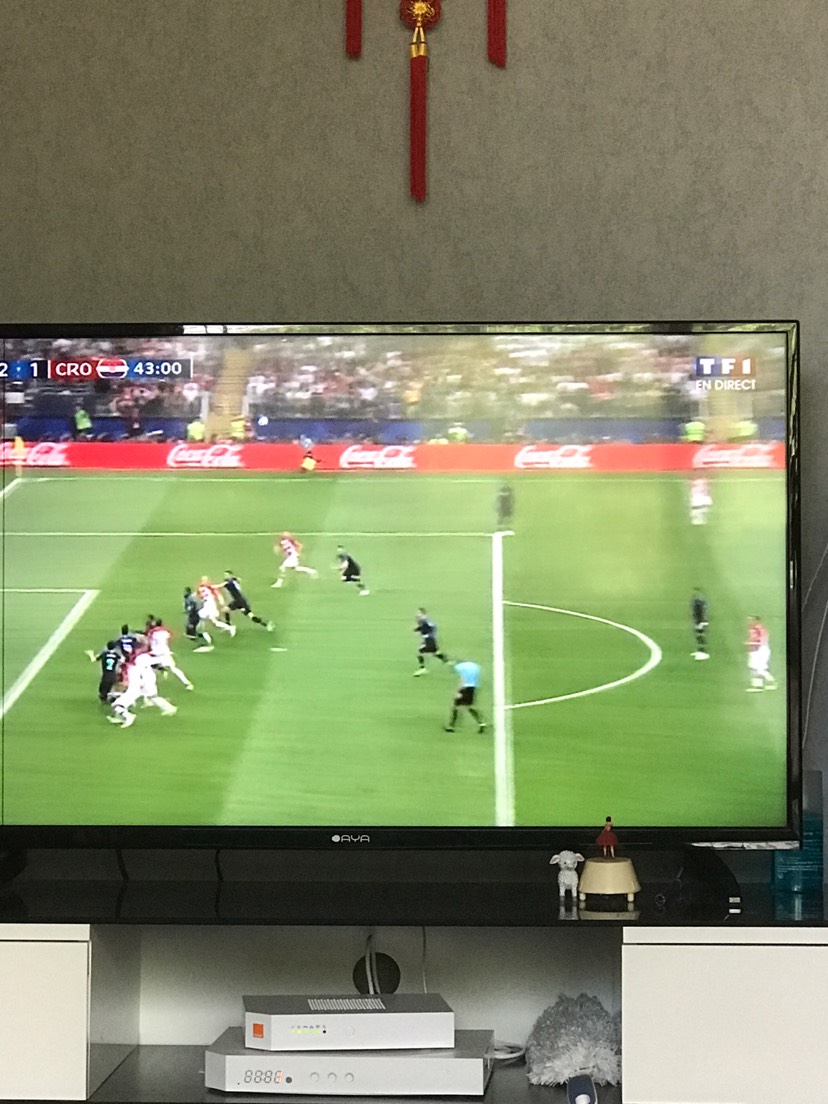 🇫🇷法国队加油啊!!!!