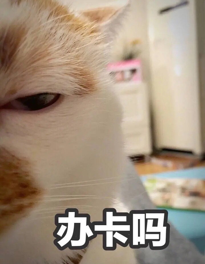 如果…还是学生的话,我真诚的建议大家多去图书馆