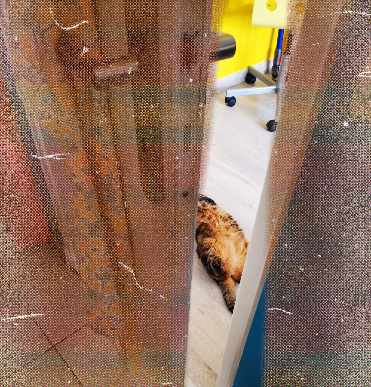当你在厨房门没关好