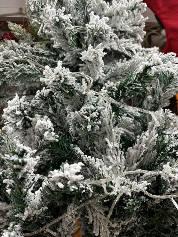 圣诞节🎄快到了