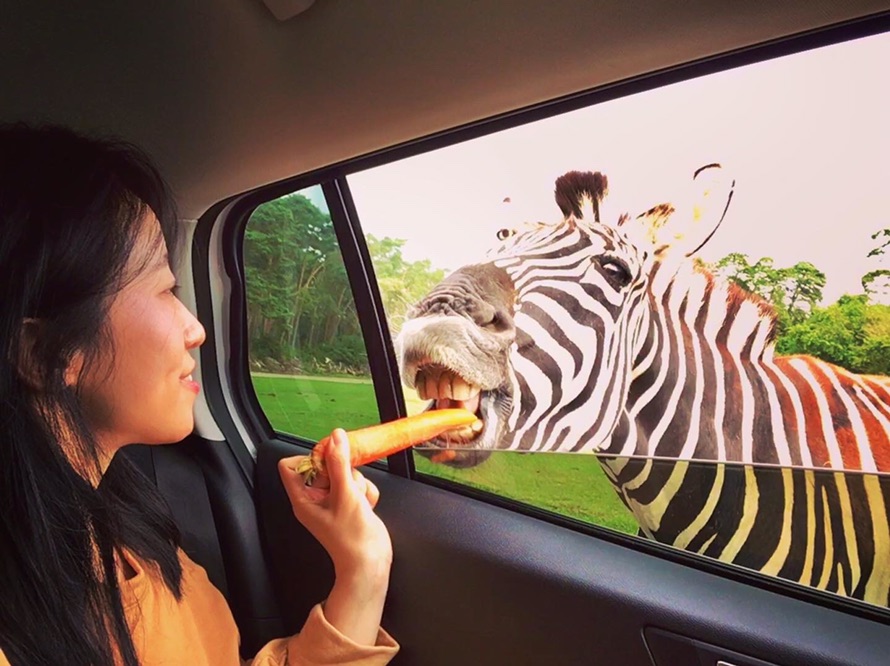 Safari Park野生动物园