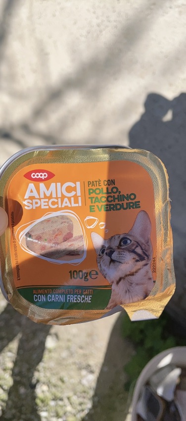 宠物用品之猫猫爱吃的罐头