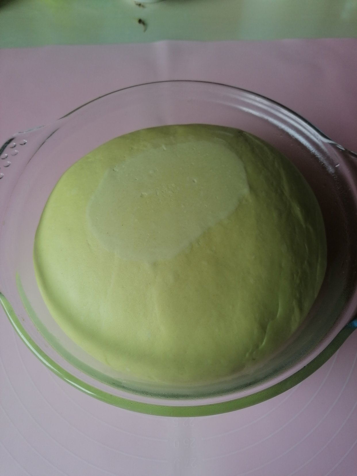 菠菜油条