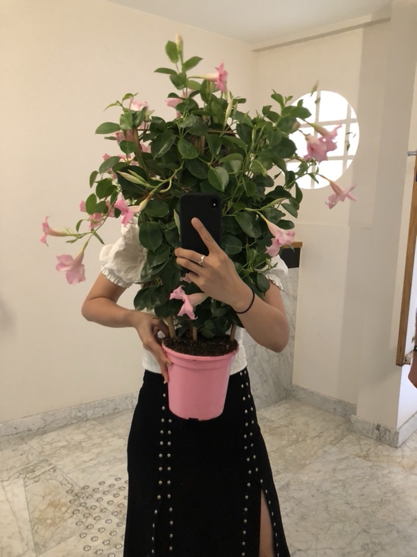  plantes pour tous 在92办场次啦 