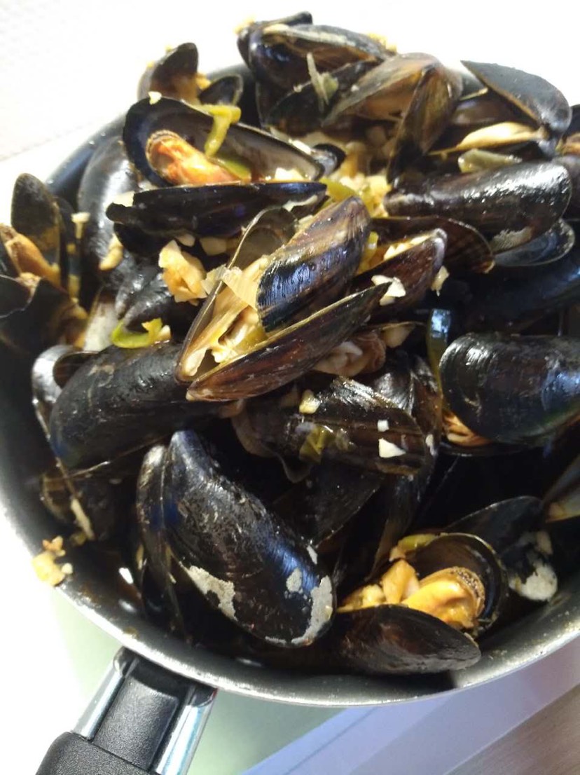 homemade moule 