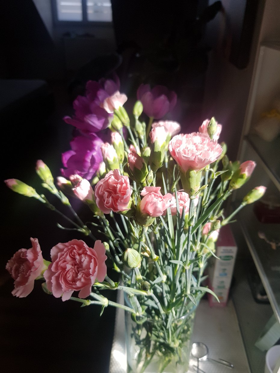 健身打卡 day9