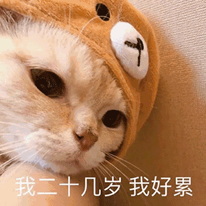 关于alternance工资
