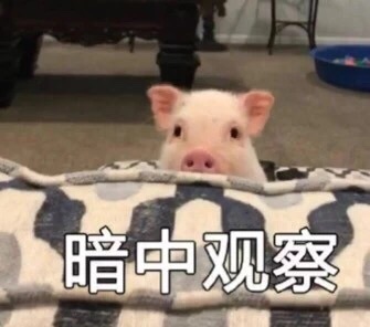 异地恋太难了