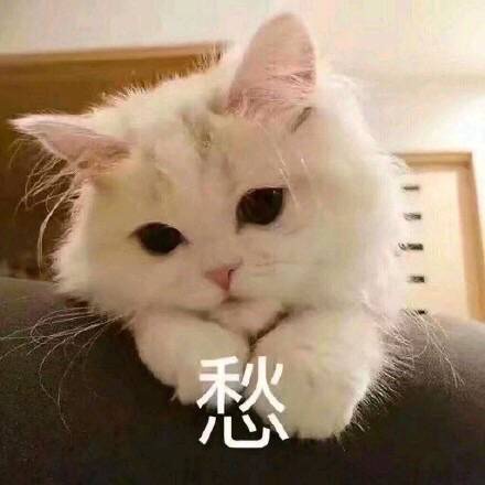 放假宅在家里吃吃吃
