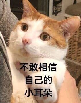 本泽马？？？卡里乌斯？？？