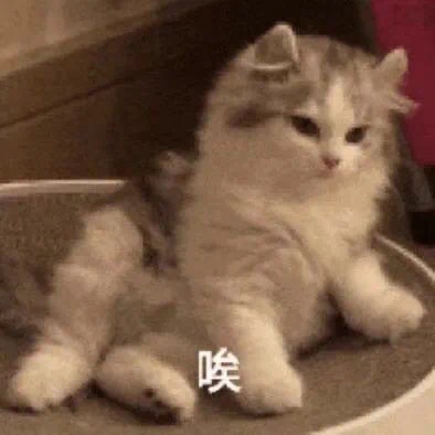 在bnp存钱的时候钱被吞了😭