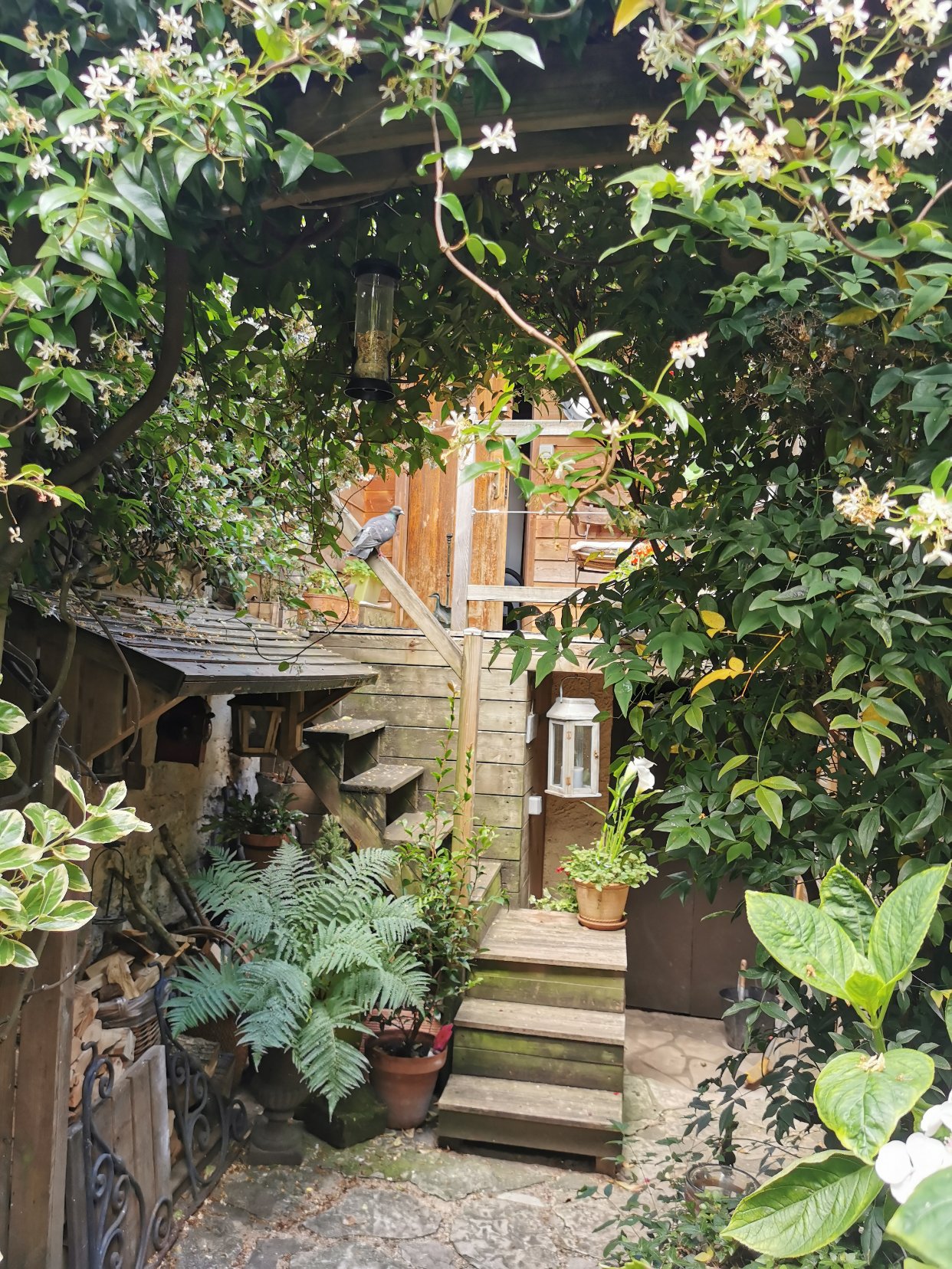 在花园的时间比在屋里多