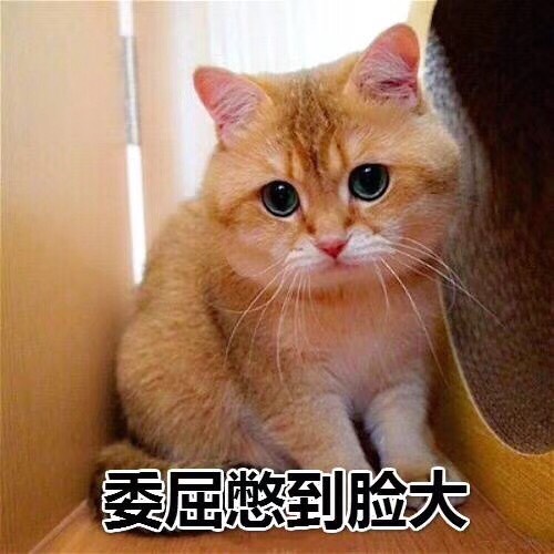 求助帖